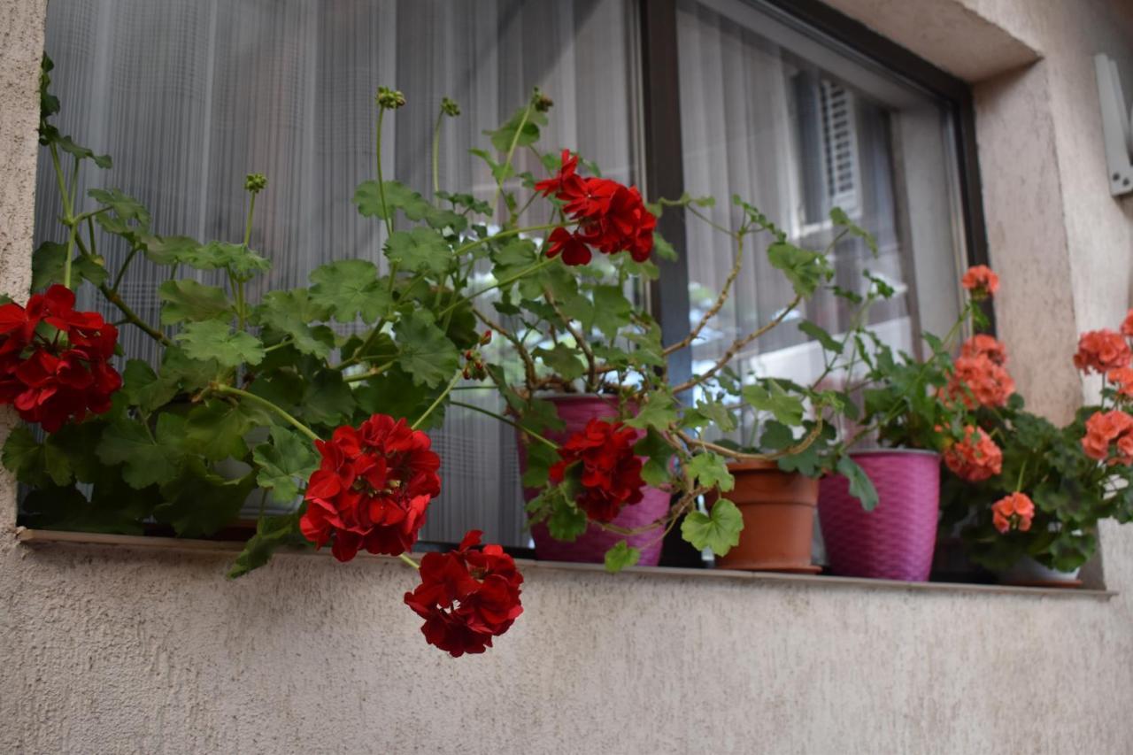 Vila Maricris Tuzla Esterno foto